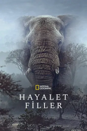 观看Hayalet Filler Film