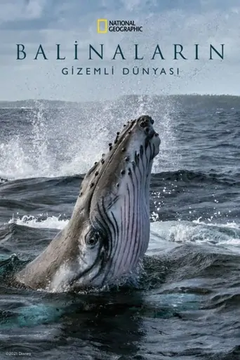 观看Balinaların Gizemli Dünyası Dizi