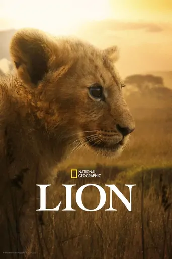 观看Lion Dizi