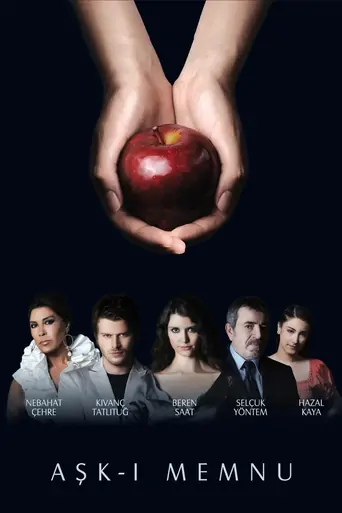 观看Aşk-ı Memnu Dizi